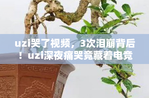 uzi哭了视频,3次泪崩背后!uzi深夜痛哭竟藏着电竞圈最残酷真相? uzi哭了视频,3次泪崩背后!uzi深夜痛哭竟藏着电竞圈最残酷真相?