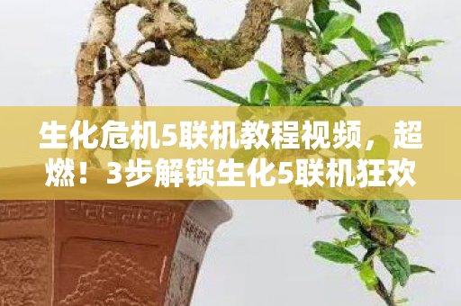 生化危机5联机教程视频,超燃!3步解锁生化5联机狂欢,这体验爽到飞起! 生化危机5联机教程视频,超燃!3步解锁生化5联机狂欢,这体验爽到飞起!