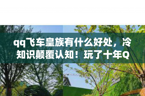 qq飞车皇族有什么好处,冷知识颠覆认知!玩了十年QQ飞车皇族,真相让我目瞪口呆 qq飞车皇族有什么好处,冷知识颠覆认知!玩了十年QQ飞车皇族,真相让我目瞪口呆