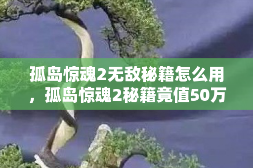 孤岛惊魂2无敌秘籍怎么用,孤岛惊魂2秘籍竟值50万?离职老兵掀桌揭隐情,真相让人吓一跳! 孤岛惊魂2无敌秘籍怎么用,孤岛惊魂2秘籍竟值50万?离职老兵掀桌揭隐情,真相让人吓一跳!