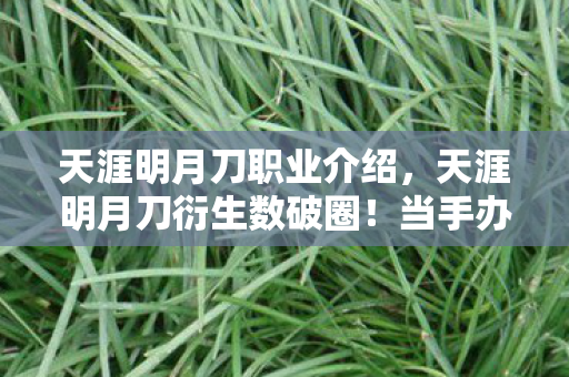 天涯明月刀职业介绍,天涯明月刀衍生数破圈!当手办堆满屋时,我竟用泡面钱换来了意想不到的江湖 天涯明月刀职业介绍,天涯明月刀衍生数破圈!当手办堆满屋时,我竟用泡面钱换来了意想不到的江湖