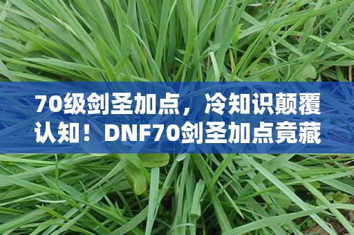 70级剑圣加点,冷知识颠覆认知!DNF70剑圣加点竟藏着目瞪口呆的自毁开关 70级剑圣加点,冷知识颠覆认知!DNF70剑圣加点竟藏着目瞪口呆的自毁开关