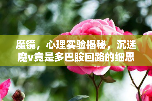 魔镜,心理实验揭秘,沉迷魔v竟是多巴胺回路的细思极恐陷阱 魔镜,心理实验揭秘,沉迷魔v竟是多巴胺回路的细思极恐陷阱