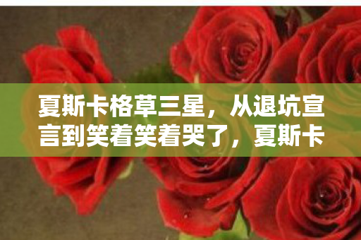 夏斯卡格草三星,从退坑宣言到笑着笑着哭了,夏斯卡格草背后的落差真相 夏斯卡格草三星,从退坑宣言到笑着笑着哭了,夏斯卡格草背后的落差真相