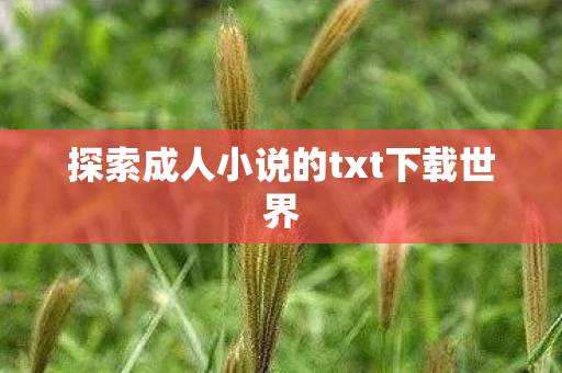 探索成人小说的txt下载世界 探索成人小说的txt下载世界
