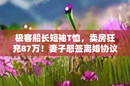 极客船长短袖T恤，卖房狂充87万！妻子怒签离婚协议，极客船长悔不当初