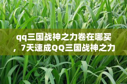 qq三国战神之力卷在哪买，7天速成QQ三国战神之力卷心得+99%玩家踩过的坑避雷指南
