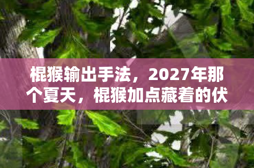 棍猴输出手法，2027年那个夏天，棍猴加点藏着的伏笔，让我鼻子一酸