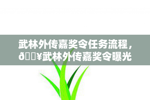 武林外传嘉奖令任务流程，🔥武林外传嘉奖令曝光！3大隐藏福利让我笑到满地打滚！