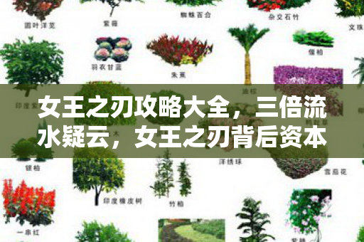 女王之刃攻略大全,三倍流水疑云,女王之刃背后资本博弈,玩家心寒真相何时揭? 女王之刃攻略大全,三倍流水疑云,女王之刃背后资本博弈,玩家心寒真相何时揭?