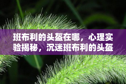 班布利的头盔在哪，心理实验揭秘，沉迷班布利的头盔六年，细思极恐的自我麻醉
