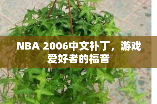 NBA 2006中文补丁，游戏爱好者的福音