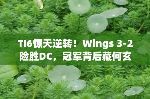 TI6惊天逆转!Wings 3-2险胜DC,冠军背后藏何玄机? TI6惊天逆转!Wings 3-2险胜DC,冠军背后藏何玄机?