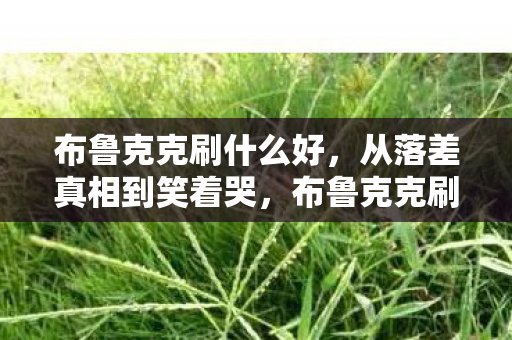 布鲁克克刷什么好,从落差真相到笑着哭,布鲁克克刷什么?我终究还是那个大冤种! 布鲁克克刷什么好,从落差真相到笑着哭,布鲁克克刷什么?我终究还是那个大冤种!