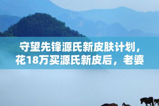 守望先锋源氏新皮肤计划,花18万买源氏新皮后,老婆甩出离婚协议,这隐情让我吓一跳! 守望先锋源氏新皮肤计划,花18万买源氏新皮后,老婆甩出离婚协议,这隐情让我吓一跳!