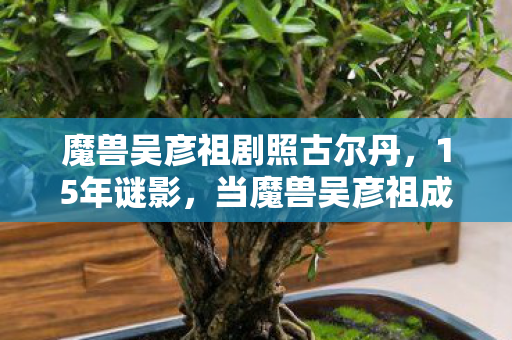 魔兽吴彦祖剧照古尔丹,15年谜影,当魔兽吴彦祖成为时代泪目注脚 魔兽吴彦祖剧照古尔丹,15年谜影,当魔兽吴彦祖成为时代泪目注脚