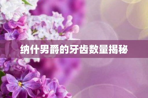 纳什男爵的牙齿数量揭秘