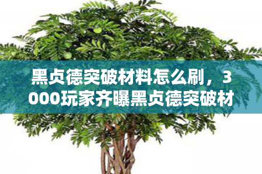 黑贞德突破材料怎么刷，3000玩家齐曝黑贞德突破材料疑点，策划这操作真让人绷不住！