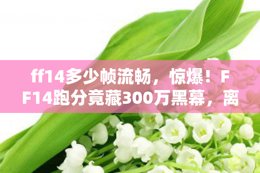 ff14多少帧流畅,惊爆!FF14跑分竟藏300万黑幕,离职老兵拍桌揭隐情,吓一跳! ff14多少帧流畅,惊爆!FF14跑分竟藏300万黑幕,离职老兵拍桌揭隐情,吓一跳!