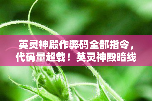 英灵神殿作弊码全部指令,代码量超载!英灵神殿暗线引爆,当玩家行为触发头皮发麻的数字叛乱 英灵神殿作弊码全部指令,代码量超载!英灵神殿暗线引爆,当玩家行为触发头皮发麻的数字叛乱