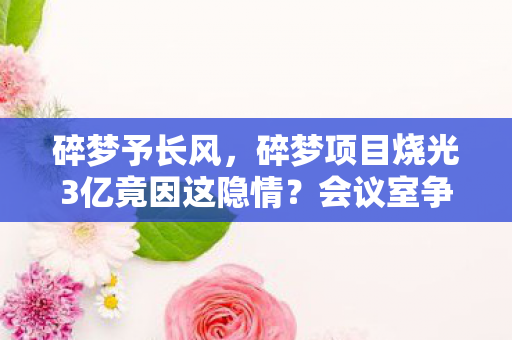 碎梦予长风,碎梦项目烧光3亿竟因这隐情?会议室争吵内幕让人吓一跳! 碎梦予长风,碎梦项目烧光3亿竟因这隐情?会议室争吵内幕让人吓一跳!
