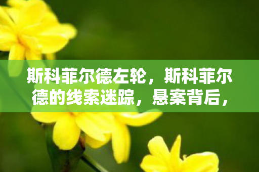 斯科菲尔德左轮,斯科菲尔德的线索迷踪,悬案背后,毛骨悚然的游戏囚笼 斯科菲尔德左轮,斯科菲尔德的线索迷踪,悬案背后,毛骨悚然的游戏囚笼