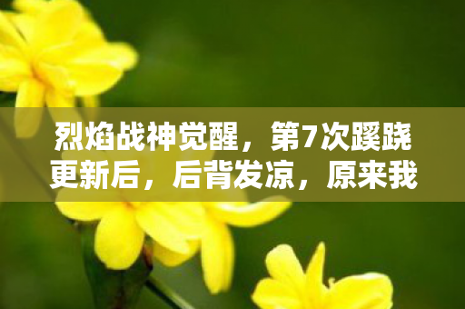 烈焰战神觉醒,第7次蹊跷更新后,后背发凉,原来我才是被策划玩弄的提线木偶 烈焰战神觉醒,第7次蹊跷更新后,后背发凉,原来我才是被策划玩弄的提线木偶