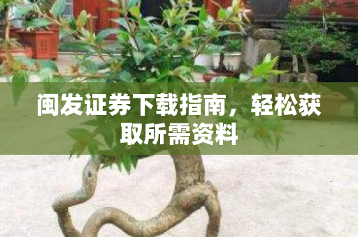 闽发证券下载指南，轻松获取所需资料