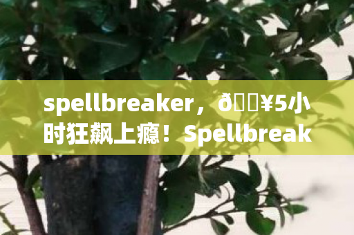 spellbreaker,🔥5小时狂飙上瘾!Spellbreak让我体验到魔法对轰的极致快感! spellbreaker,🔥5小时狂飙上瘾!Spellbreak让我体验到魔法对轰的极致快感!