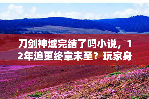 刀剑神域完结了吗小说,12年追更终章未至?玩家身份之谜下,谁懂这心酸等待! 刀剑神域完结了吗小说,12年追更终章未至?玩家身份之谜下,谁懂这心酸等待!