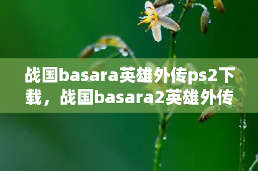 战国basara英雄外传ps2下载,战国basara2英雄外传,在宿命之阶上,自由是永恒的悖论,灵魂震颤于选择的深渊 战国basara英雄外传ps2下载,战国basara2英雄外传,在宿命之阶上,自由是永恒的悖论,灵魂震颤于选择的深渊