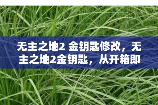无主之地2 金钥匙修改,无主之地2金钥匙,从开箱即巅峰到笑着笑着哭了的落差真相 无主之地2 金钥匙修改,无主之地2金钥匙,从开箱即巅峰到笑着笑着哭了的落差真相