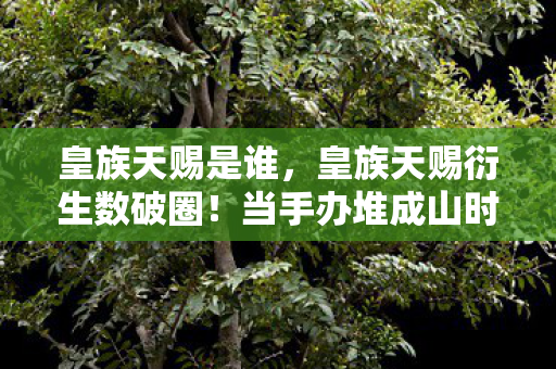 皇族天赐是谁，皇族天赐衍生数破圈！当手办堆成山时，我竟在冰箱里找到了意想不到的宝藏
