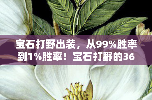 宝石打野出装,从99%胜率到1%胜率!宝石打野的360°反转,背后藏着什么秘密? 宝石打野出装,从99%胜率到1%胜率!宝石打野的360°反转,背后藏着什么秘密?