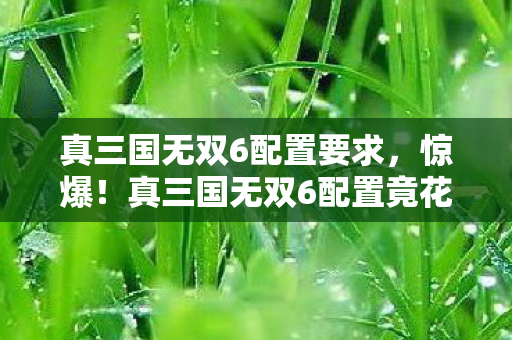 真三国无双6配置要求,惊爆!真三国无双6配置竟花800万?离职老兵揭隐情,真让人吓一跳! 真三国无双6配置要求,惊爆!真三国无双6配置竟花800万?离职老兵揭隐情,真让人吓一跳!