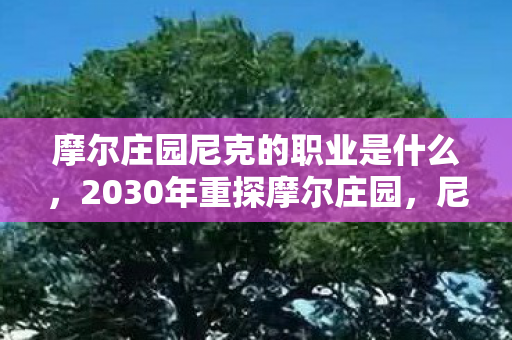 摩尔庄园尼克的职业是什么,2030年重探摩尔庄园,尼克职业之谜,竟藏惊天秘密! 摩尔庄园尼克的职业是什么,2030年重探摩尔庄园,尼克职业之谜,竟藏惊天秘密!