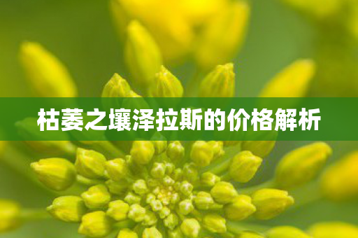 枯萎之壤泽拉斯的价格解析