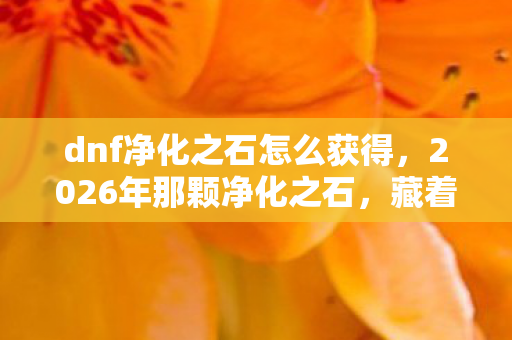 dnf净化之石怎么获得,2026年那颗净化之石,藏着我们的约定,如今想起鼻子一酸 dnf净化之石怎么获得,2026年那颗净化之石,藏着我们的约定,如今想起鼻子一酸
