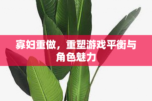 寡妇重做，重塑游戏平衡与角色魅力