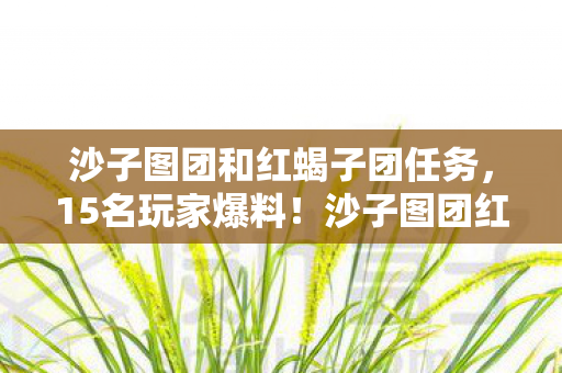 沙子图团和红蝎子团任务，15名玩家爆料！沙子图团红蝎子团疑点重重，真相让人绷不住