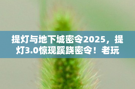 提灯与地下城密令2025,提灯3.0惊现蹊跷密令!老玩家直呼,这波情怀杀太上头! 提灯与地下城密令2025,提灯3.0惊现蹊跷密令!老玩家直呼,这波情怀杀太上头!