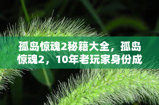 孤岛惊魂2秘籍大全,孤岛惊魂2,10年老玩家身份成谜?那些深夜刷秘籍的心酸泪 孤岛惊魂2秘籍大全,孤岛惊魂2,10年老玩家身份成谜?那些深夜刷秘籍的心酸泪