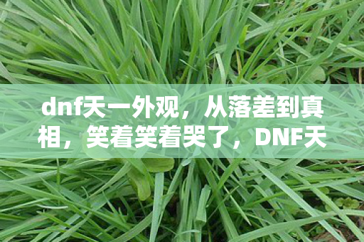 dnf天一外观,从落差到真相,笑着笑着哭了,DNF天一竟成我最后的避风港 dnf天一外观,从落差到真相,笑着笑着哭了,DNF天一竟成我最后的避风港