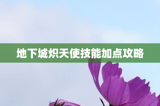地下城炽天使技能加点攻略 地下城炽天使技能加点攻略