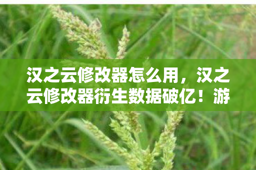汉之云修改器怎么用,汉之云修改器衍生数据破亿!游戏IP破圈联动音乐综艺与时尚秀场,意想不到! 汉之云修改器怎么用,汉之云修改器衍生数据破亿!游戏IP破圈联动音乐综艺与时尚秀场,意想不到!