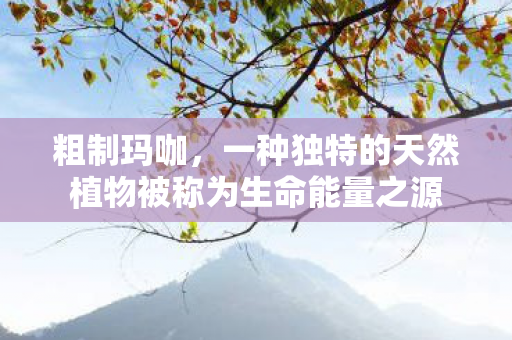 粗制玛咖,一种独特的天然植物被称为生命能量之源 粗制玛咖,一种独特的天然植物被称为生命能量之源