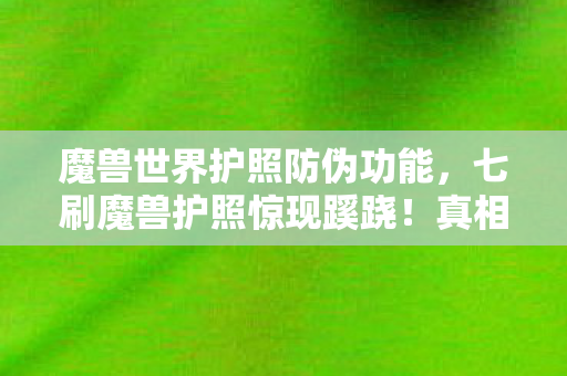 魔兽世界护照防伪功能，七刷魔兽护照惊现蹊跷！真相揭晓瞬间，后背发凉直冒冷汗