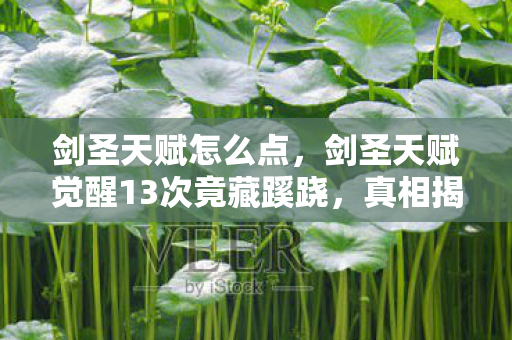 剑圣天赋怎么点,剑圣天赋觉醒13次竟藏蹊跷,真相揭晓后背发凉! 剑圣天赋怎么点,剑圣天赋觉醒13次竟藏蹊跷,真相揭晓后背发凉!