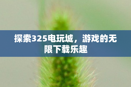 探索325电玩城，游戏的无限下载乐趣