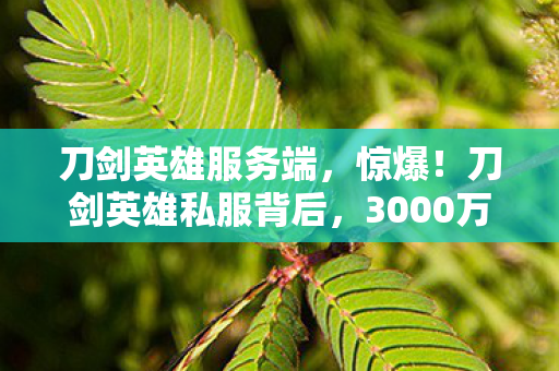 刀剑英雄服务端，惊爆！刀剑英雄私服背后，3000万隐情曝光，真相让人吓一跳！